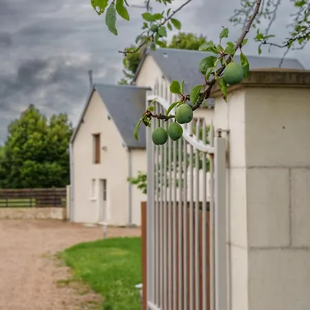 Maison Campagne Proche Tours Et Loches 6 Personnes Saint-Branchs Exterior foto